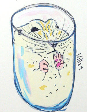 Hamster en copa