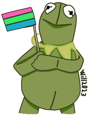 Gustavo bandera polisexual