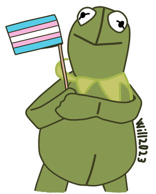 Gustavo bandera trans