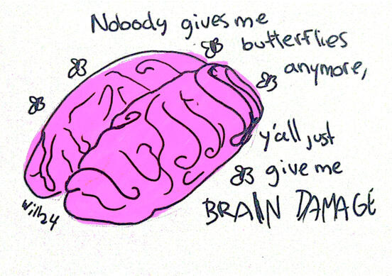 Ya nadie me provoca mariposas