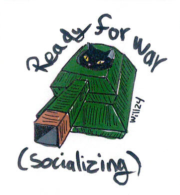 Gatito listo para socializar