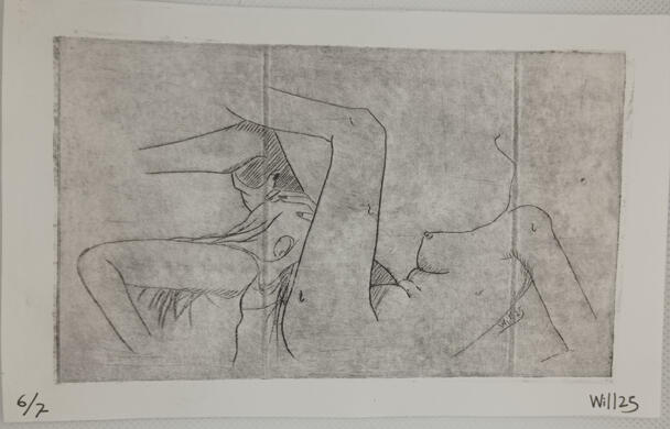 Punta seca lésbica en tetrabrik 6/7 6€